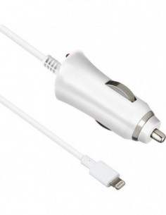 MFi : Cargador de coche...