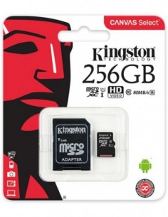 Kingston : microSD 256GB...