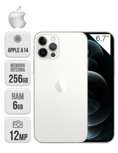 Apple : iPhone 12 Pro Max 256GB - Plata
