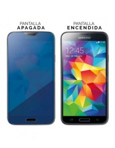 * Bikuid : Colour Tempered...