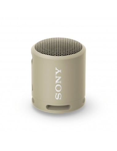 Sony : SRSXB13 Altavoz portátil estéreo Gris pardo 5 W