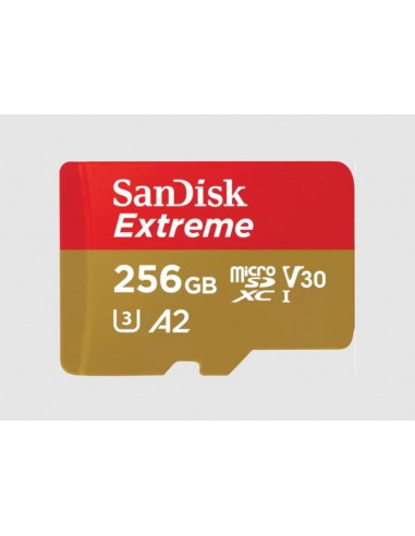 SanDisk : Extreme 256 GB MicroSDXC UHS-I Clase 3