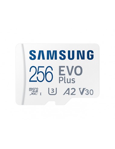 Samsung : EVO Plus 256 GB MicroSDXC UHS-I Clase 10