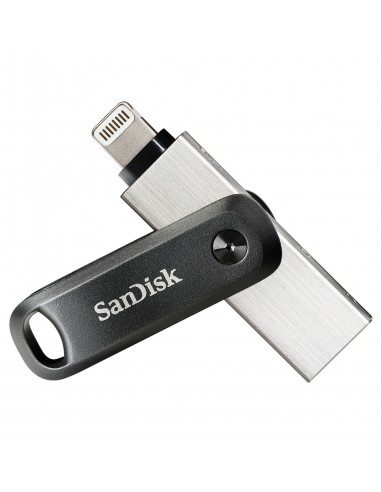 SanDisk : SDIX60N-128G-GN6NE unidad flash USB 128 GB 3.2 Gen 1 (3.1 Gen 1) Gris, Plata