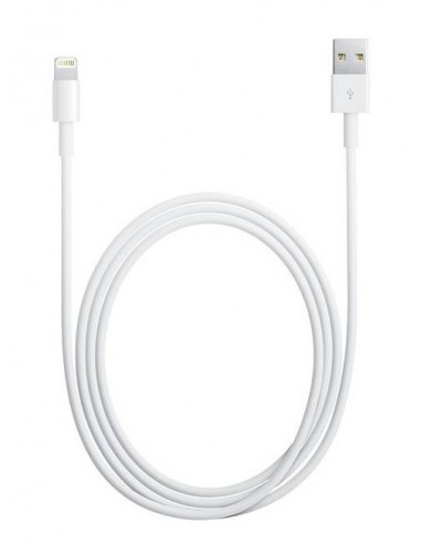 Apple : Cable de datos MD818ZM/A (USB-A / Lightning) 1m (bulk)
