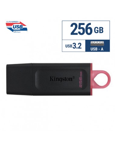 Kingston : Pendrive DataTraveler Exodia 256GB (blíster)