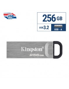 Kingston : Pendrive DTKN Kyson 256GB (blíster)